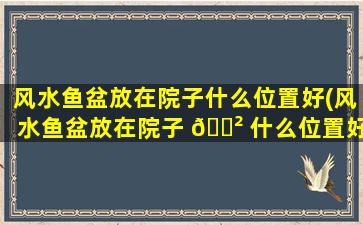 风水鱼盆放在院子什么位置好(风水鱼盆放在院子 🌲 什么位置好一点)